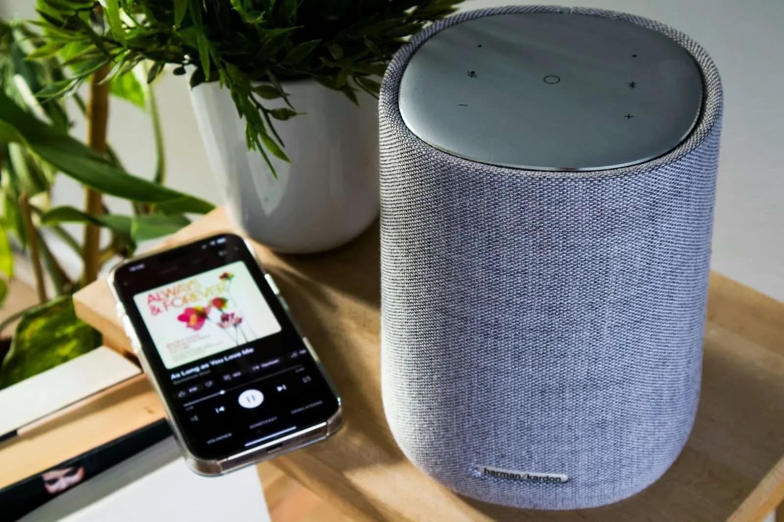 Voice search seo