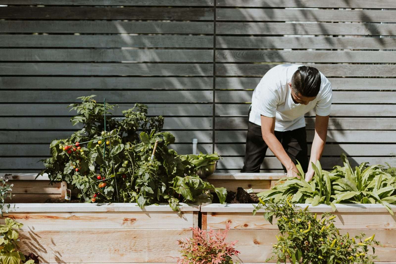 Landscape gardener resting in garden