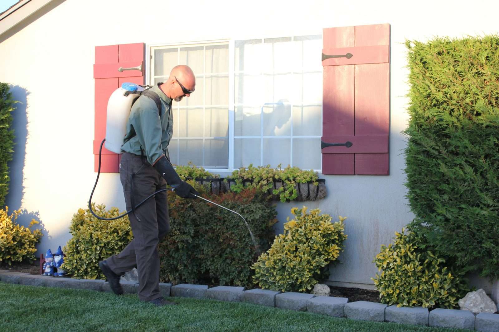 Pest control technician at work